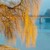 SAULE
