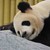 CHINE
