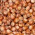 NOISETTE
