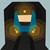 TERMINUS