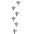 CORBEAU