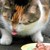 GOURMANDISE