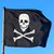 BANDEIRA