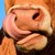 VACHE