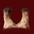 GIRAFE