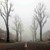 FOG