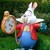 LAPIN