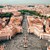 VATICAN