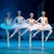 CISNE
