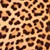 LEOPARDO