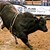 RODEO