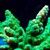 CORAIL