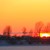 CRÉPUSCULE