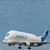BELUGA